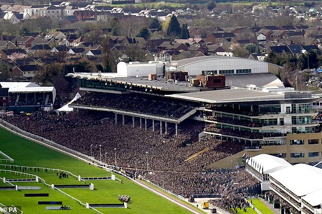 The Paddy Power trick sheet for the first day: Mick Fitzgerald, Ruby Walsh, Patrick Mullins, Matt Chapman and Harry Cobden offer their tips for Tuesday's careers in Cheltenham