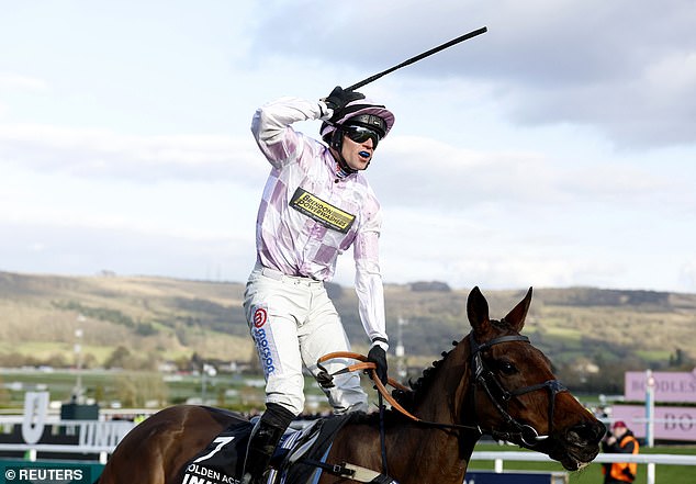 Golden Ace wins Hurdle Champion in Cheltenham while Constitution Hill falls