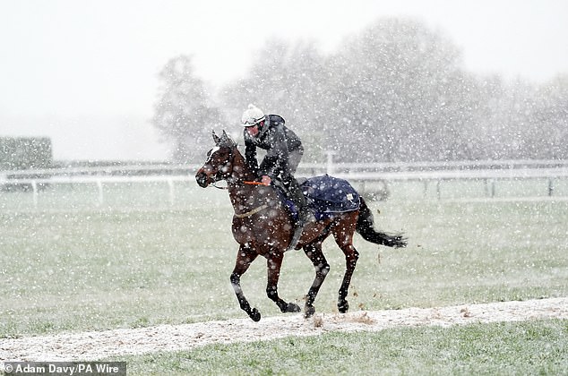 The Climate of the Cheltenham Festival: Snow falls into the races when the winter showers reached the 'best grass show' with thousands of traigators facing the two cold day, the temperatures that will reach only 9c