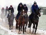 Cheltenham Festival 2025 Live: Last tips, racetrack cars and results of day two when the snow arrives in Gloudeshire