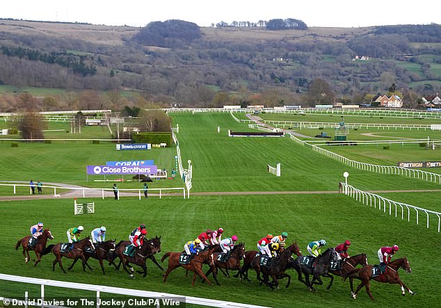 The Paddy Power trick sheet for day three: Mick Fitzgerald, Ruby Walsh, Patrick Mullins, Matt Chapman and Harry Cobden offer their tips for Thursday's careers in Cheltenham