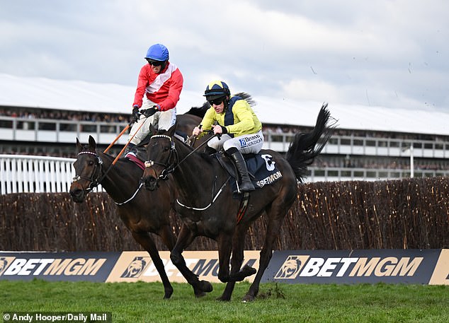 Golden Hour is the perfect tribute to Michael O'Sullivan, Dominic King writes … The old fallen riders made their share to keep it in our minds in Cheltenham