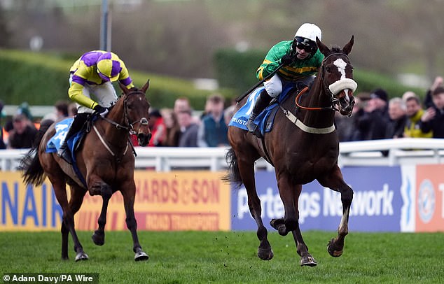 Paddy Power's trick sheet for day four: Mick Fitzgerald, Ruby Walsh, Patrick Mullins, Matt Chapman and Harry Cobden offer their advice for Friday races in Cheltenham