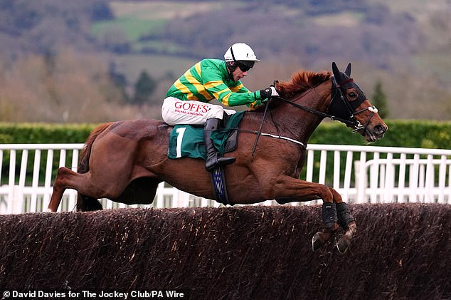 Corbetts Corbetts dies after autumn during the Gold Cup at the Cheltenham Festival