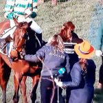 Horrible moment A veterinarian was kicked and sent by the winner of the Inothewayurbinkin Gold Cup at the Cheltenham Festival