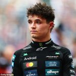 Lando Norris exploits Netflix's impulse to survive by accelerating his crack with Max Verstappen