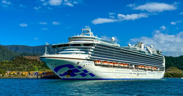 16 people injured after the cruise hits the torments of New Zealand – National