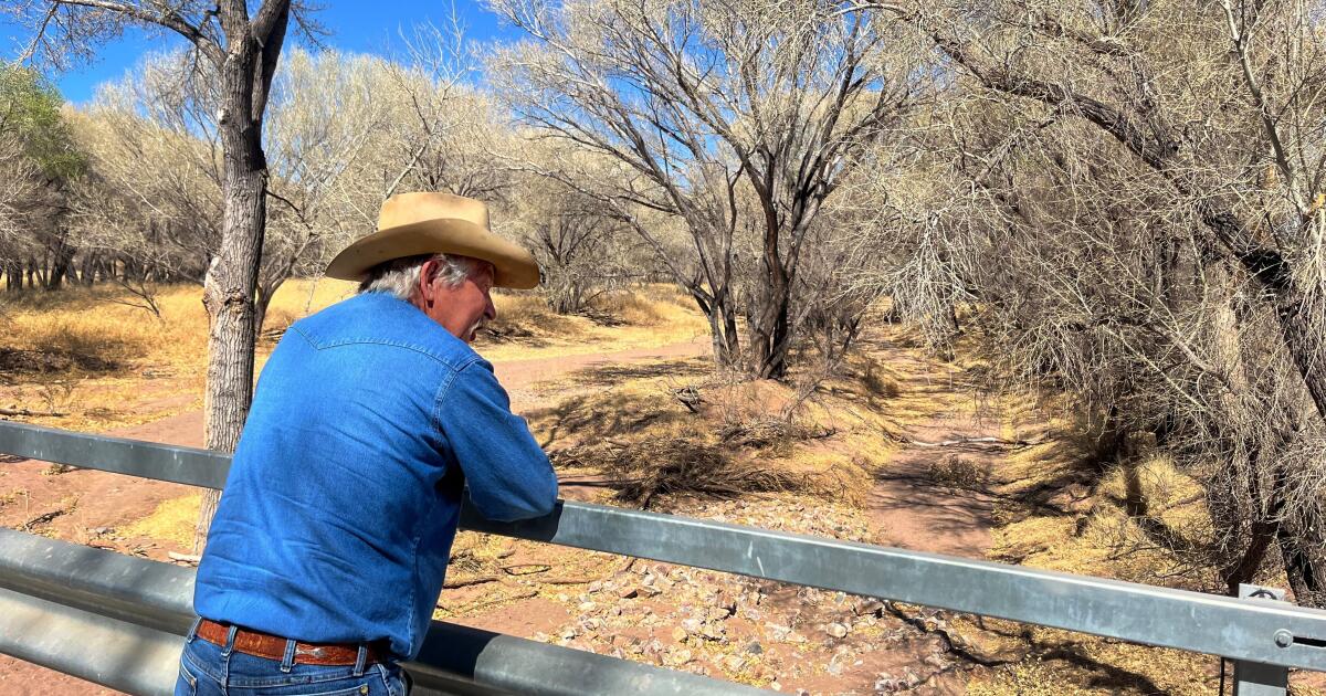 A rancher on the border with Mexico celebrates Trump's return